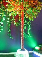 demo_exhibition_gal