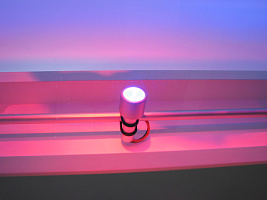 demo_exhibition_gal