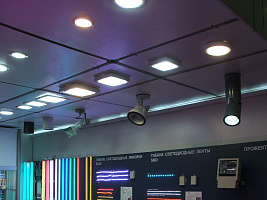demo_exhibition_gal