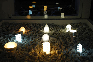 demo_exhibition_gal