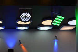 demo_exhibition_gal
