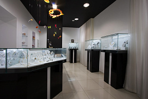 demo_exhibition_gal